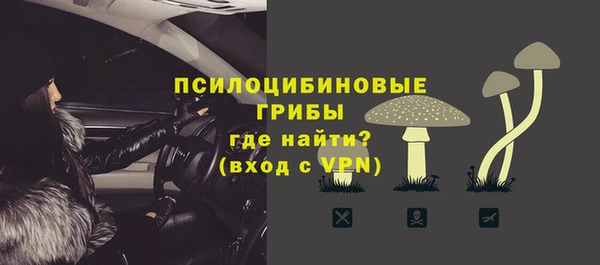 MESCALINE Елизово