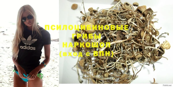 марки lsd Ельня