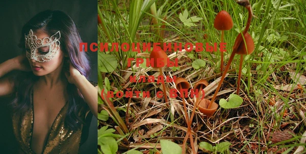 MESCALINE Елизово