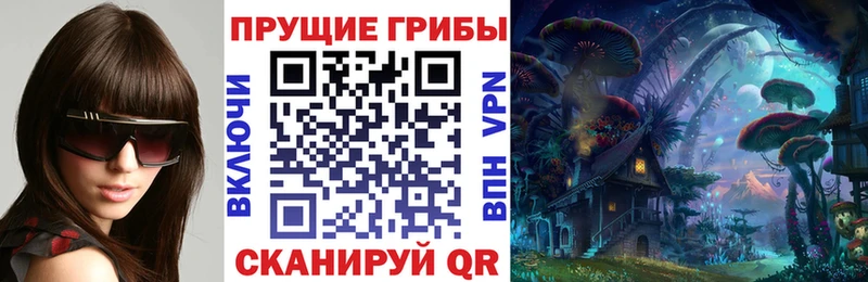 Купить где  Мончегорск  Псилоцибиновые грибы MAGIC MUSHROOMS 