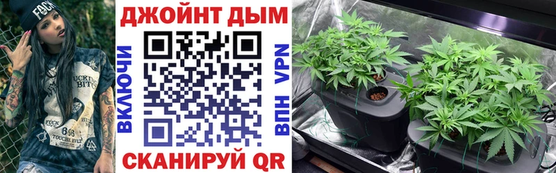 Бошки марихуана VHQ Мончегорск